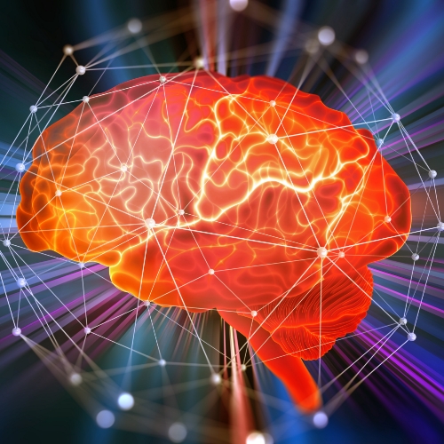 neurological-conditions-Physical-Therapy-Center-Waxham-Monroe-Charlotte-Matthews-NC