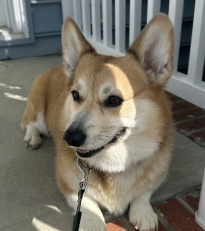 Misha